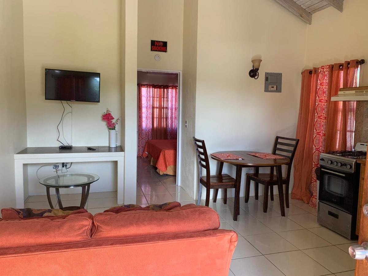 Connie'S Comfort Suites St. John's Екстер'єр фото